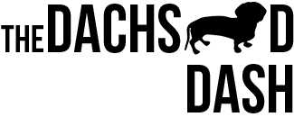 Dachshund Dash Logo